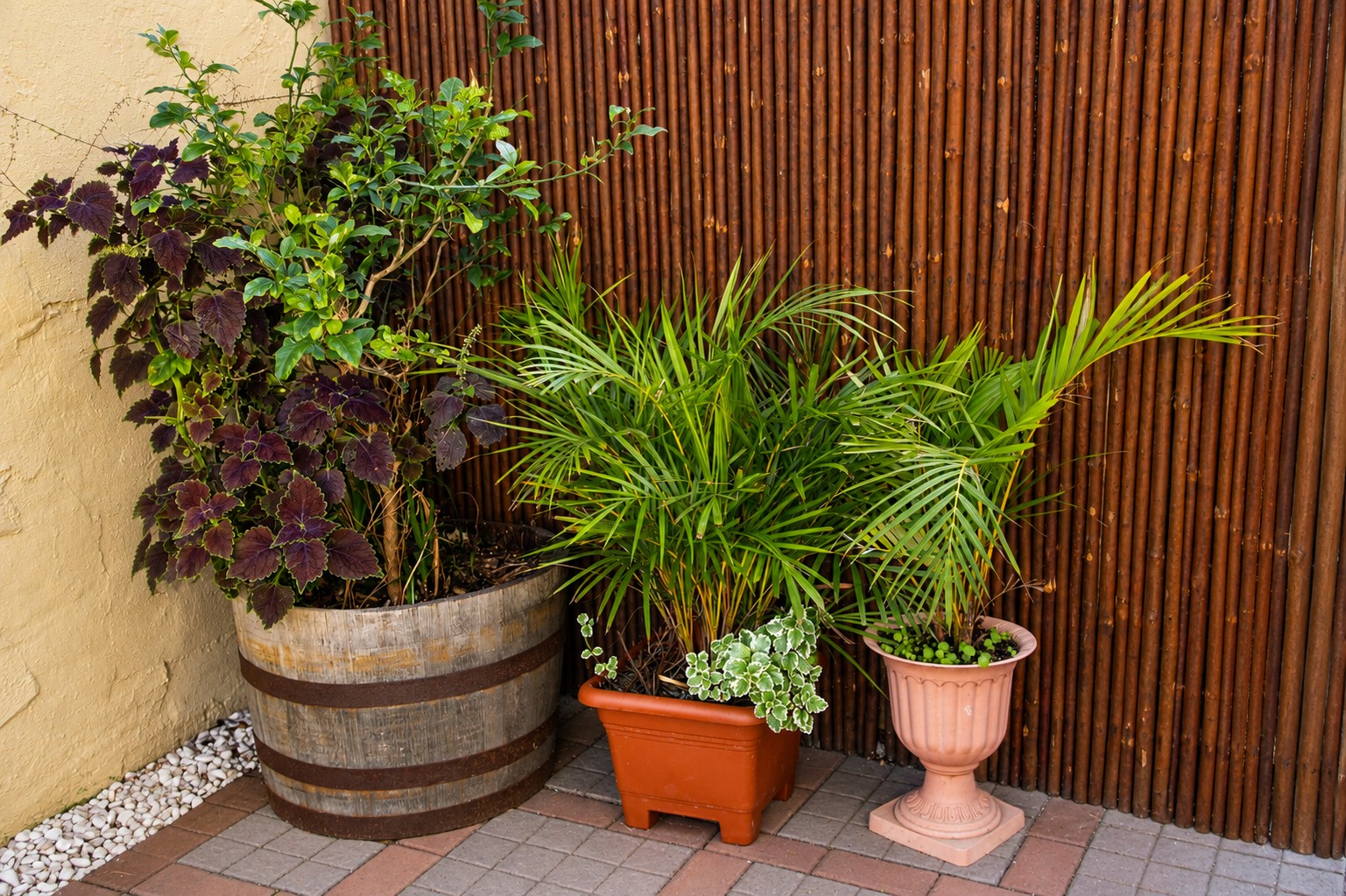 Potted plants and palms along the patio's bamboo screen